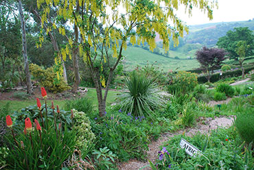 Gardenafrican1