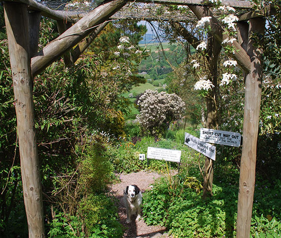 Entrance-to-gardens-with-cerberus