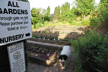 Nursery1